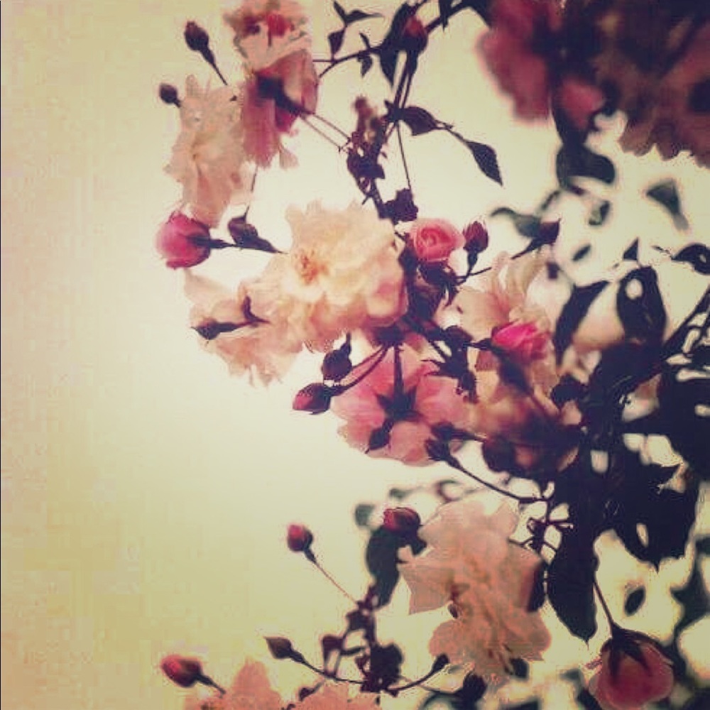 Meet your Posher, Abl